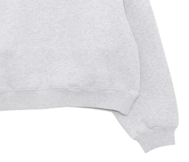 Alexander Wang  |Logo Hoodies & Sweatshirts