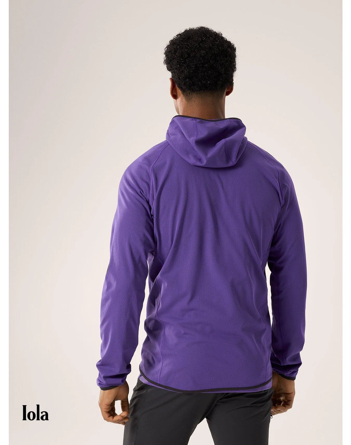 ARC'TERYX  |Plain Logo Outdoor Hoodies