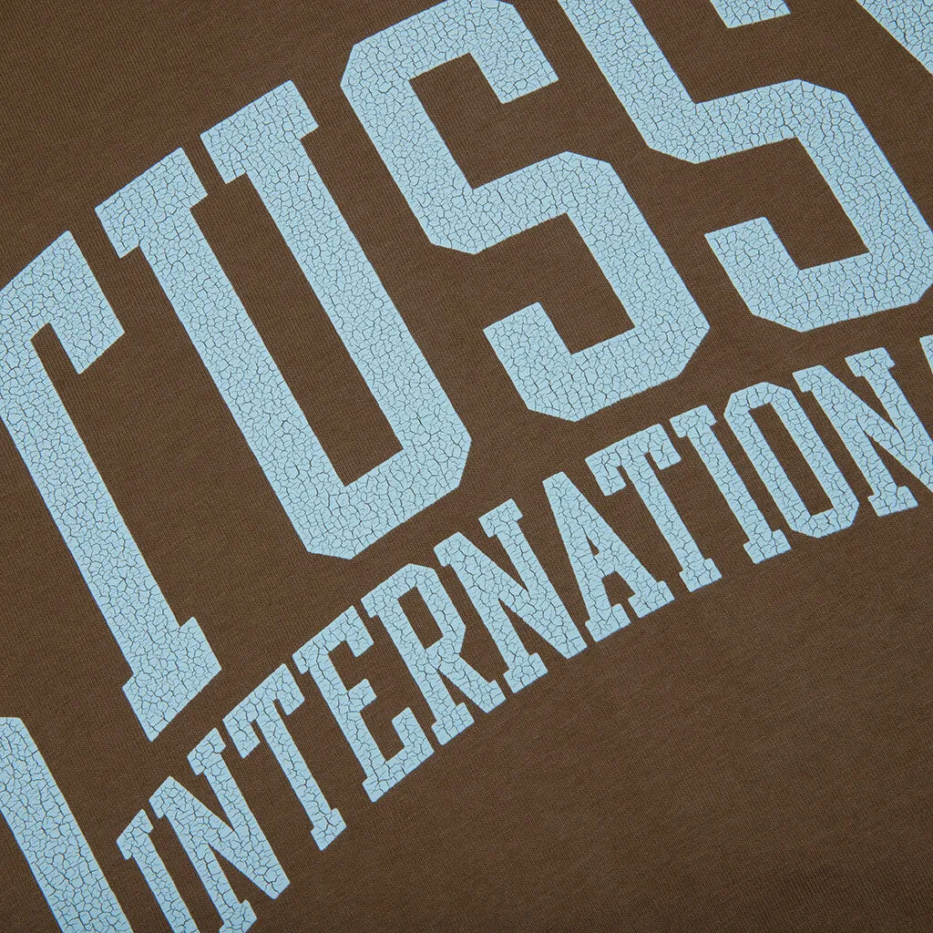 Stussy International Pigment Dyed Tee - Brown